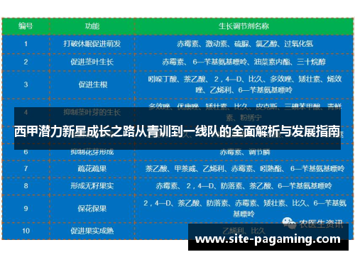 西甲潜力新星成长之路从青训到一线队的全面解析与发展指南