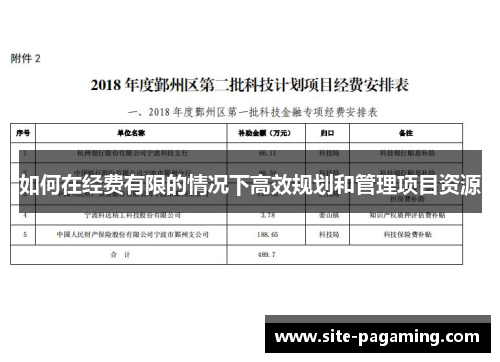如何在经费有限的情况下高效规划和管理项目资源