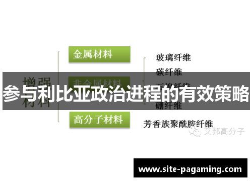 参与利比亚政治进程的有效策略