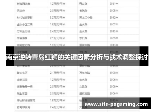 南京逆转青岛红狮的关键因素分析与战术调整探讨