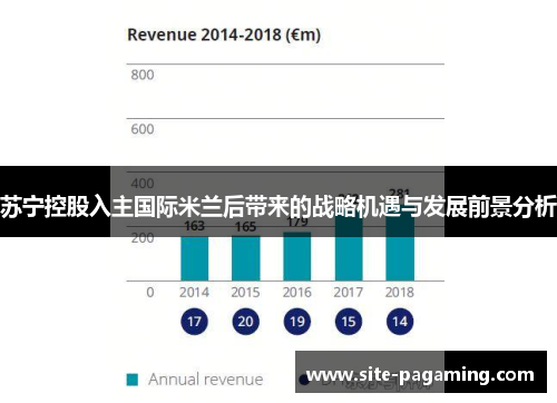 苏宁控股入主国际米兰后带来的战略机遇与发展前景分析