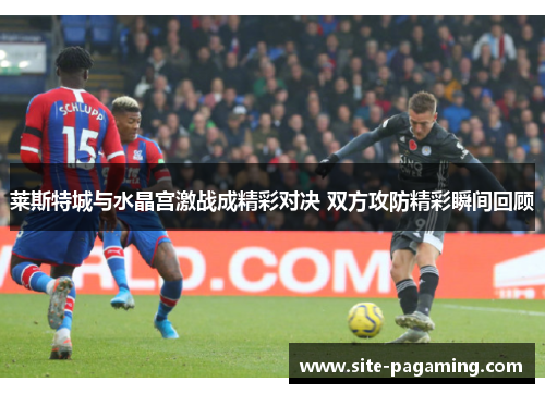 莱斯特城与水晶宫激战成精彩对决 双方攻防精彩瞬间回顾