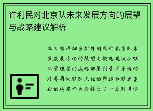 许利民对北京队未来发展方向的展望与战略建议解析