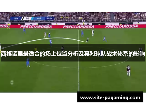 西格诺里最适合的场上位置分析及其对球队战术体系的影响