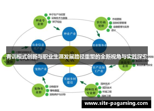 青训模式创新与职业生涯发展路径重塑的全新视角与实践探索