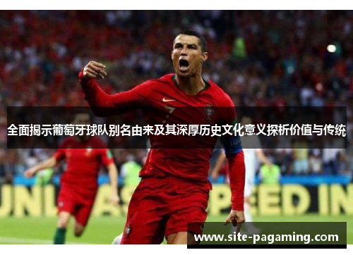 全面揭示葡萄牙球队别名由来及其深厚历史文化意义探析价值与传统