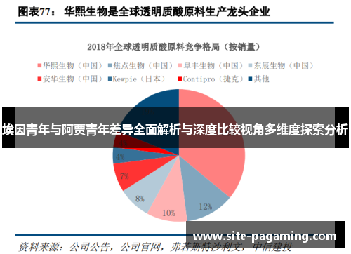 埃因青年与阿贾青年差异全面解析与深度比较视角多维度探索分析