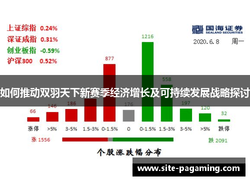 如何推动双羽天下新赛季经济增长及可持续发展战略探讨 如何推动双羽天下新赛季经济增长及可持续发展战略探讨