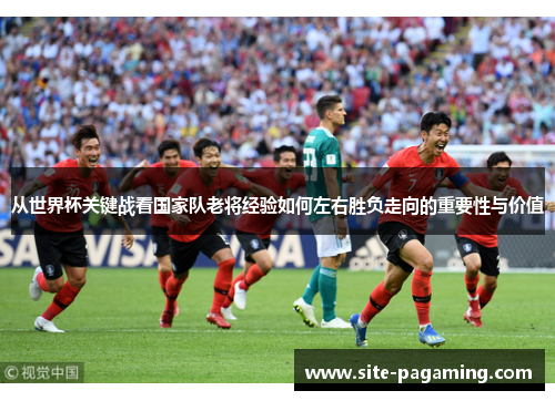 从世界杯关键战看国家队老将经验如何左右胜负走向的重要性与价值