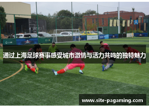通过上海足球赛事感受城市激情与活力共鸣的独特魅力
