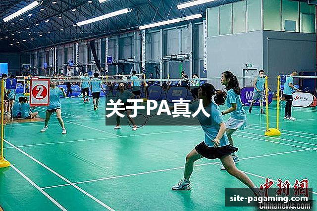 关于PA真人